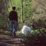Walking calmly in a forest, taking a deep breath