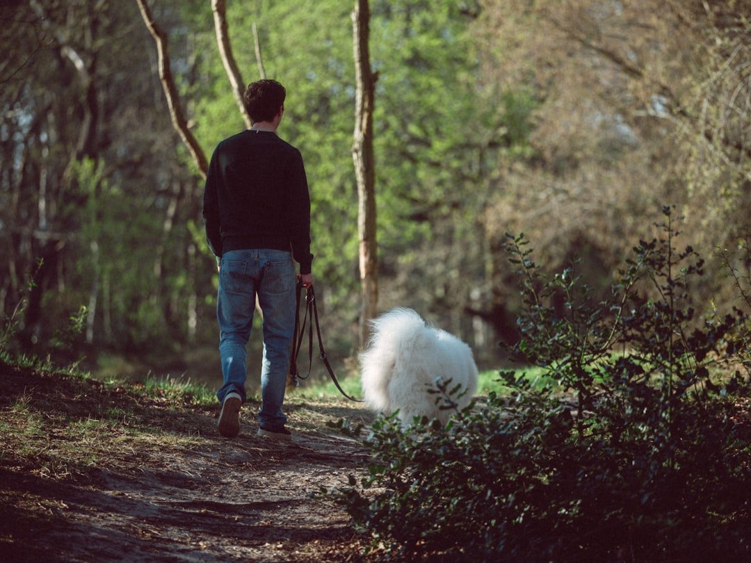 Walking calmly in a forest, taking a deep breath